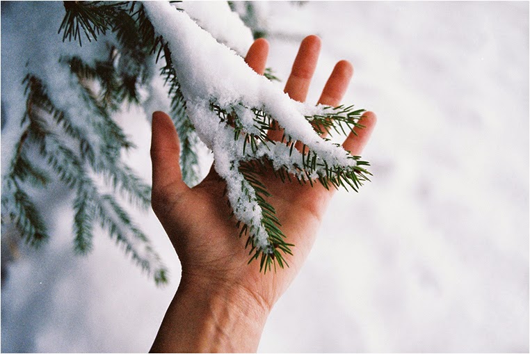 Emerging Photographers, Best Photo of the Day in Emphoka by Hello i'm Wild, https://flic.kr/p/qCawNY Emerging Photographers, Best Photo of the Day in Emphoka by Hello i'm Wild, https://flic.kr/p/qCawNY