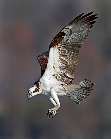 Captured the below two images