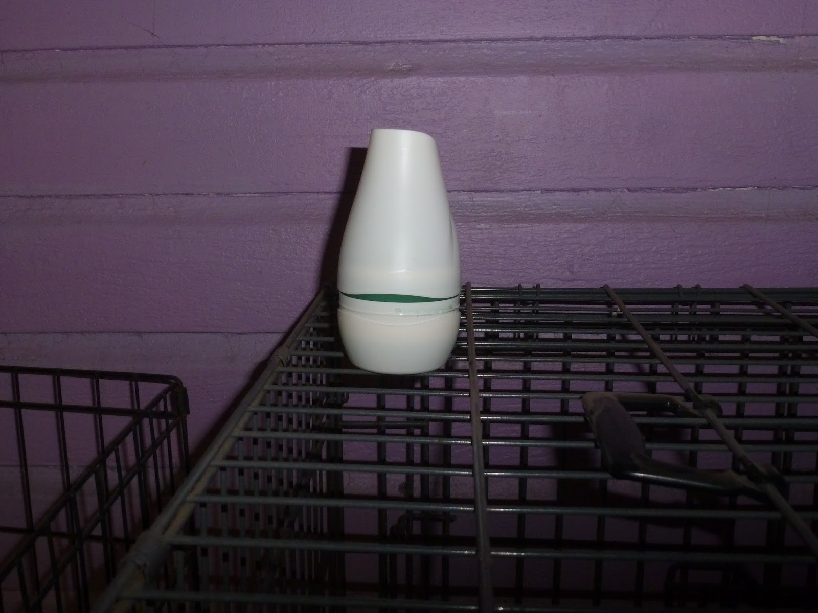 At the Fence Renuzit Cones in Your Home!