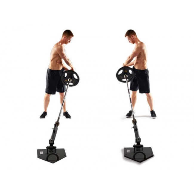 Best Exercises For Six Pack Abs Body Building Craze