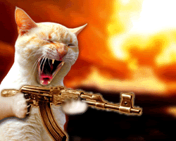 [Imagem: gato-bravo.gif]