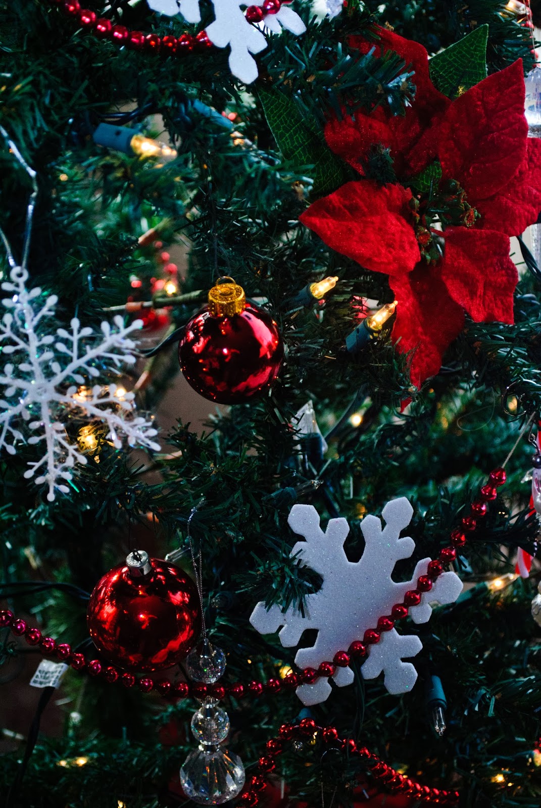 Abiding Love, Abounding Grace The slow fade of Christmas