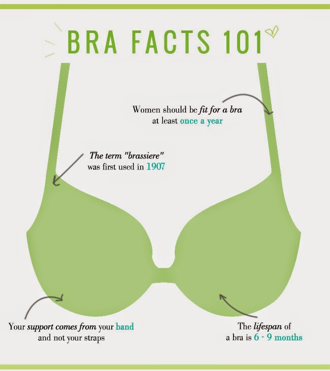 Aerie's 9 BRAS THAT EVERY GIRL NEEDS