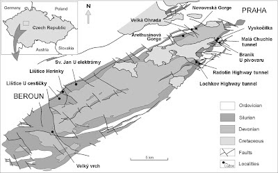 Fósseis, a evolução da vida Museu virtual. 6. Período Siluriano