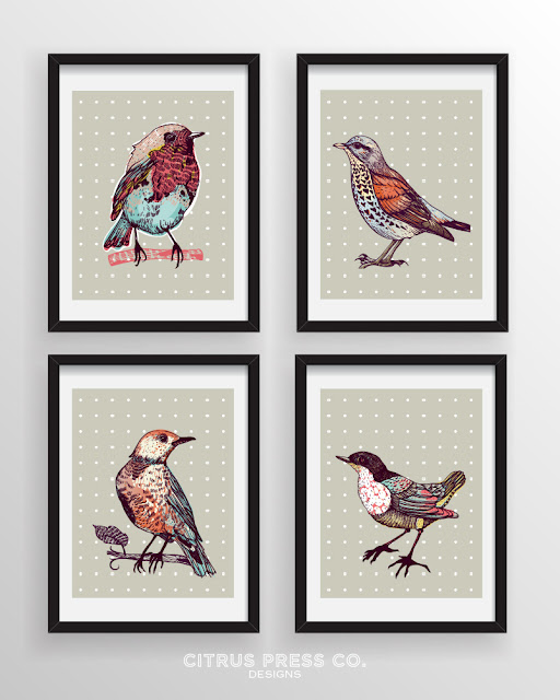Birds poster