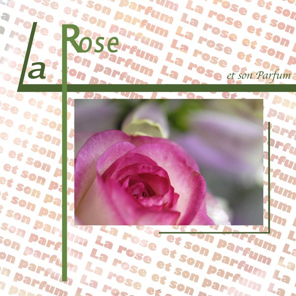 Challenge Typographie du 1 au 15 juin 2012 - Page 5 Typo+La+Rose03W