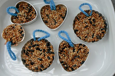 Making Birdseed Cakes Making Birdseed Cakes