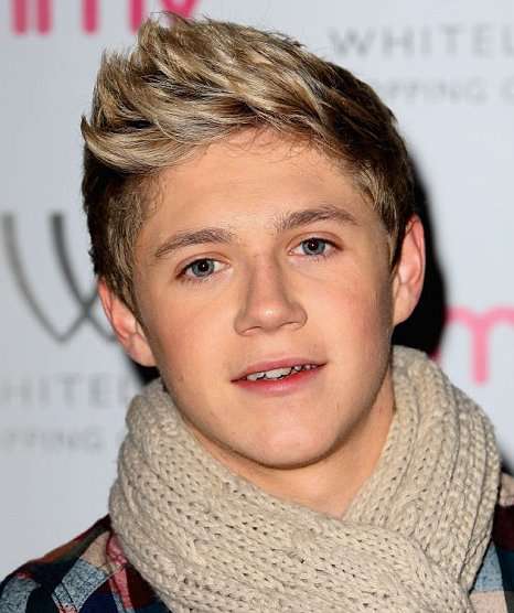 boyband one direction what makes you beautiful profil personil one