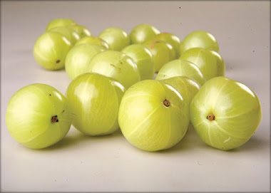amla fruit