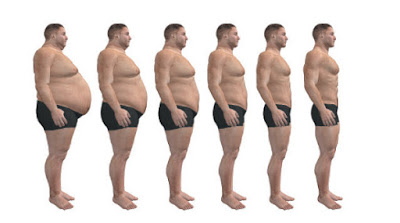 Nutrição e os efeitos sobre a Elasticidade e Plasticidade Metabólica (Efeito Sanfona)