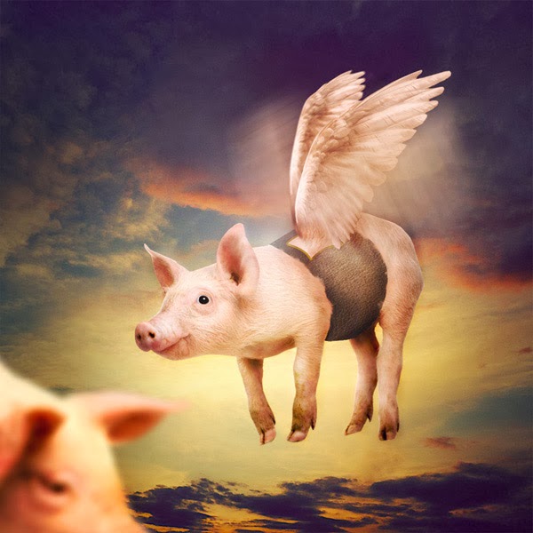 Cute Flying Pig Scene Cute Flying Pig Scene