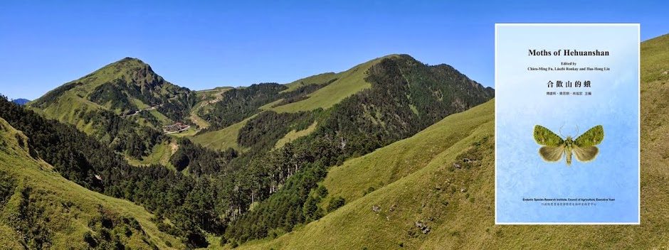 「合歡山的蛾 （Moths of Hehuanshan）」網路資訊