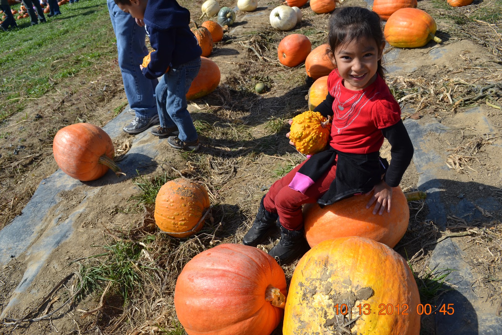 Pumpkin Patch Kids