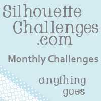 Silhouette Challenges