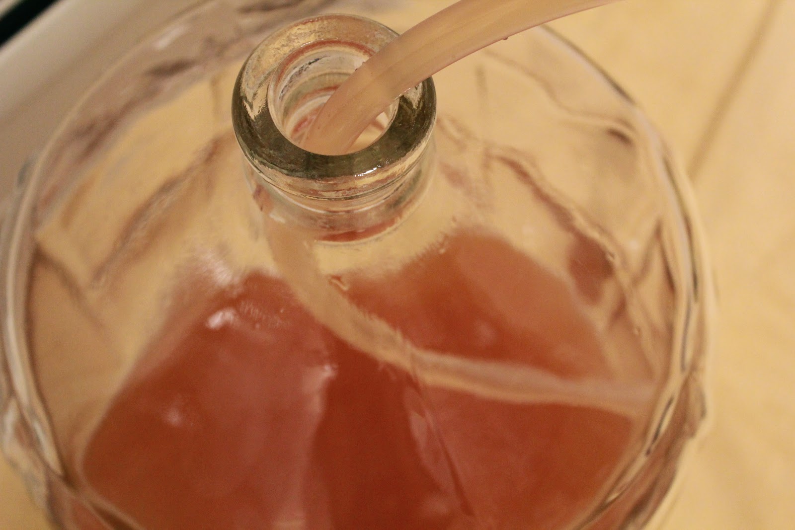 Making hard cider part 2 Yankee Kitchen Ninja