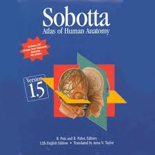Atlas of Human Anatomy Sobotta v1 5