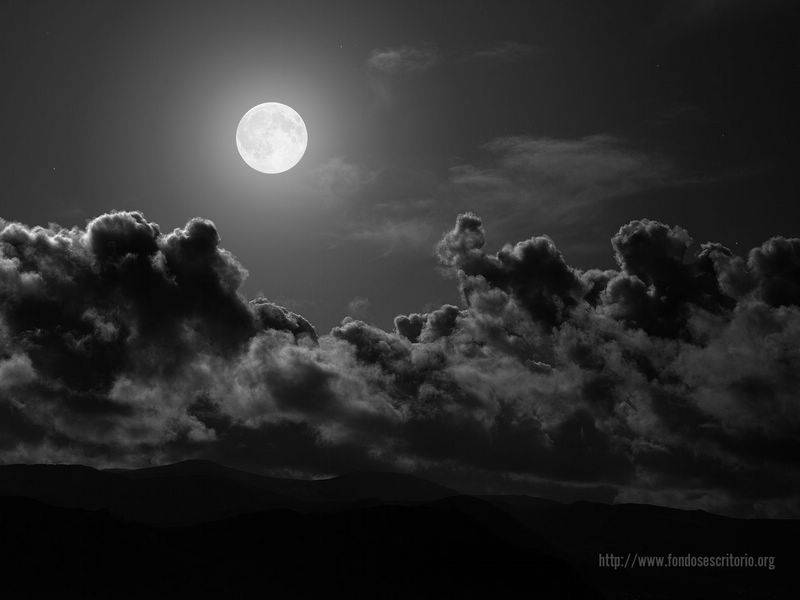 Las Noches Wallpaper