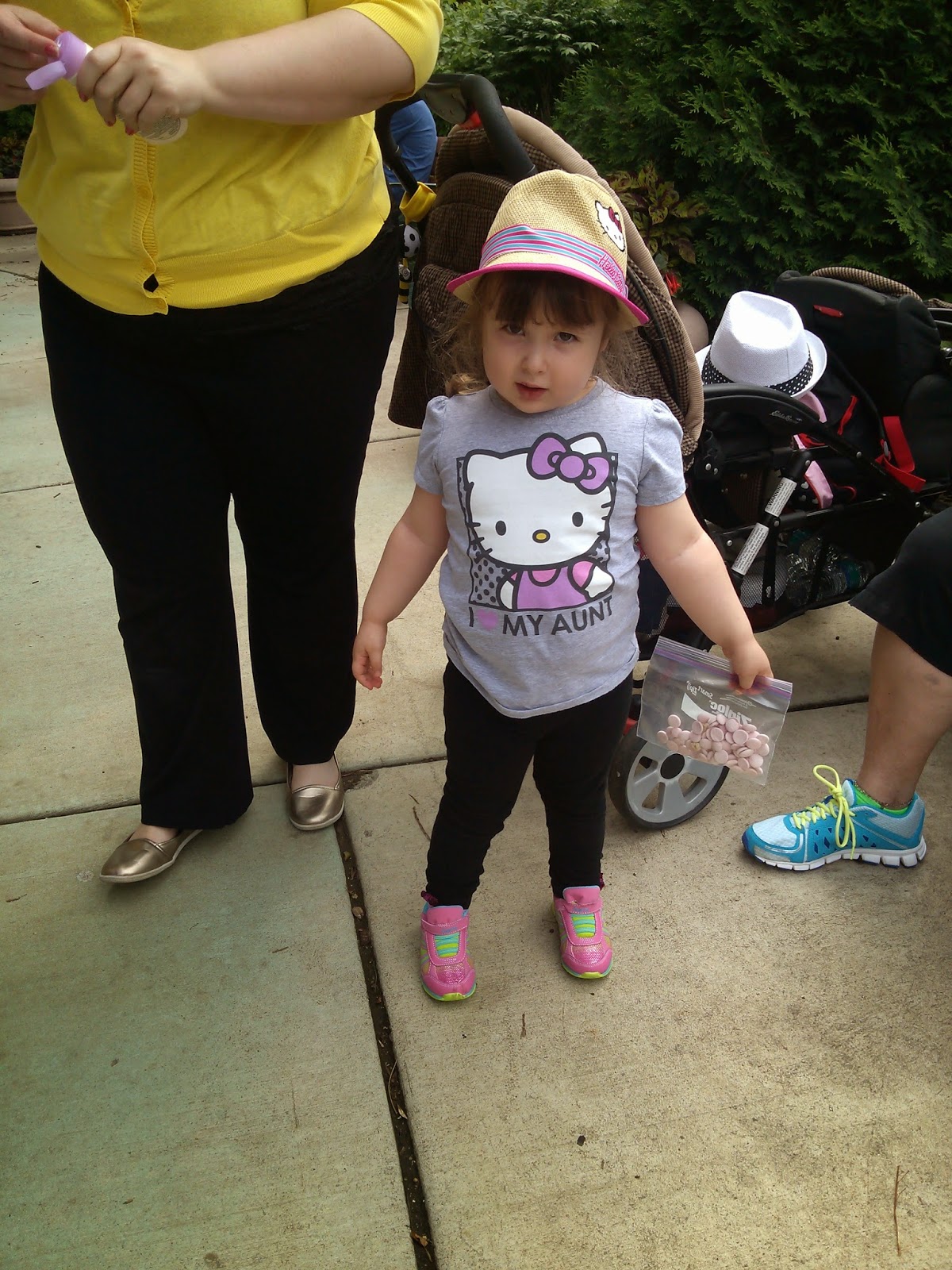 Cheapskate Weekends: Como Park Zoo & Groovin in the Garden Cheapskate Weekends: Como Park Zoo & Groovin in the Garden