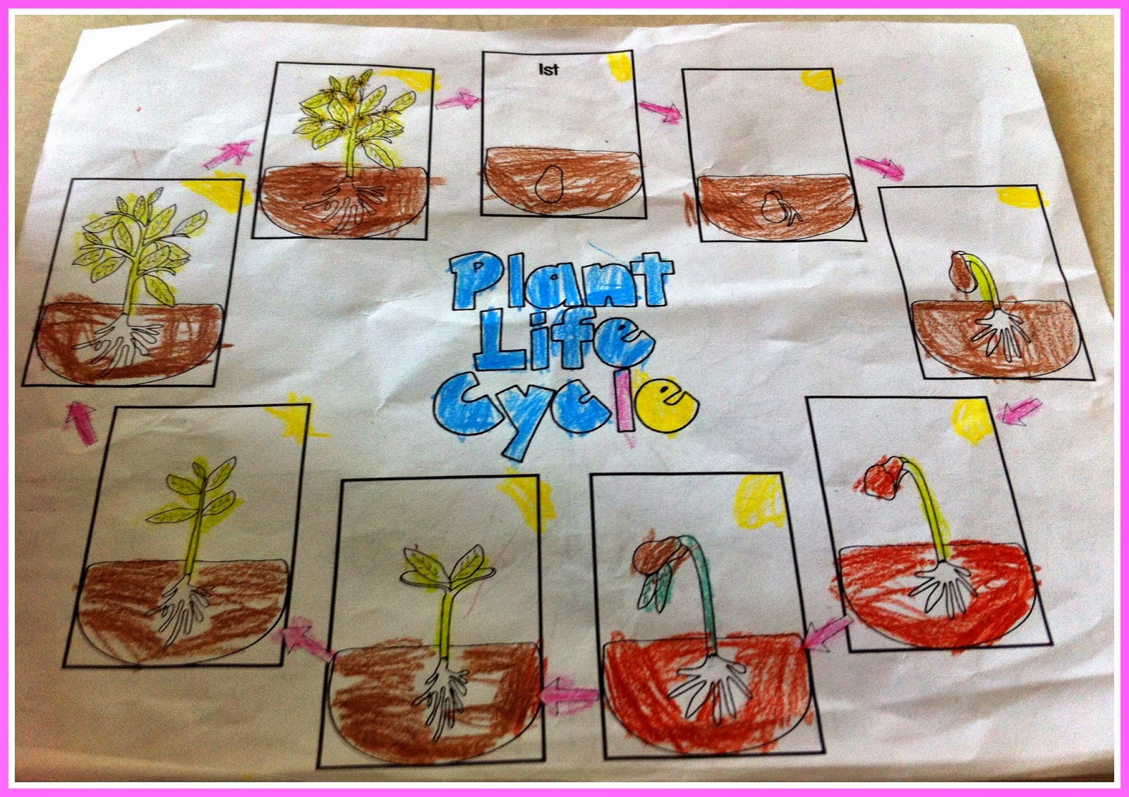 Herding Kats in Kindergarten: Plant Life Cycle Unit