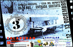 Afiche 2008