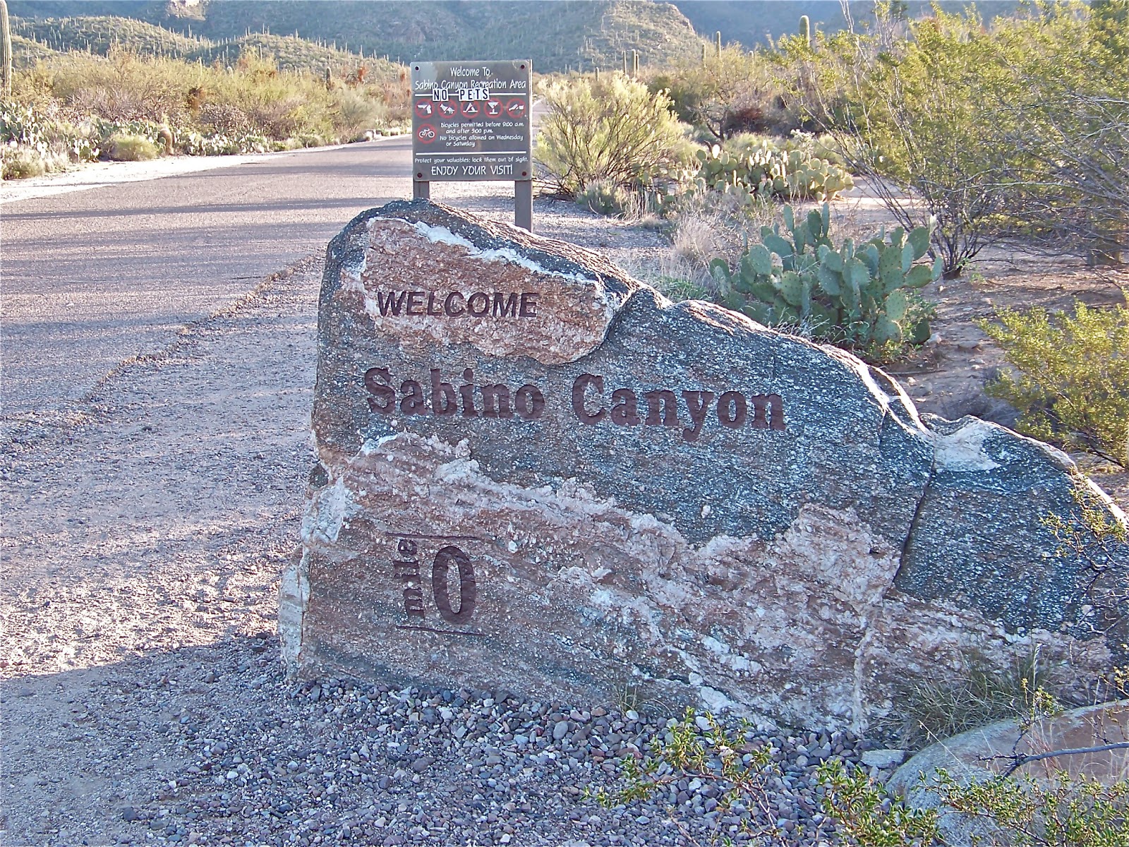 Finding Arizona Sabino Canyon Tucson's Natural Treasure