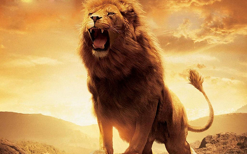 Aslan Resurrection