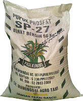SP-27 PADI KUNING