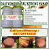 Obat Kencing Nanah Menahun dan Resisten