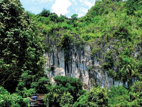 Madai - Baturong Forest Reserve Nature Centre