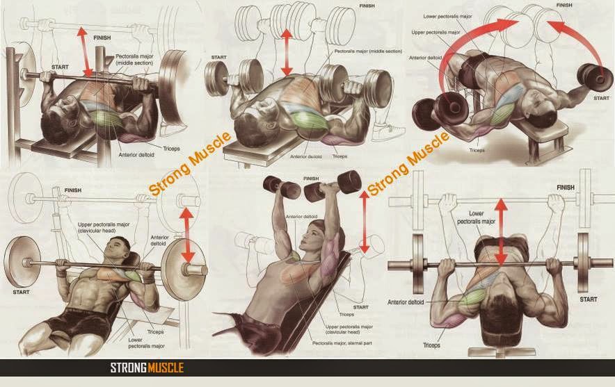 Best chest workout machines