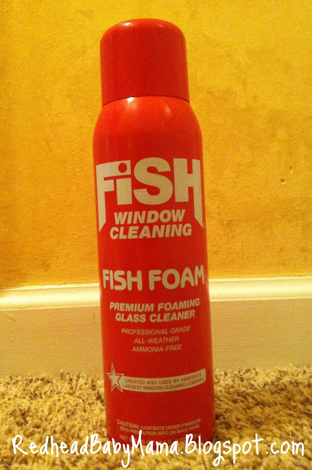 Review: Fish Foam Premium Foaming Glass Cleaner - Redhead Baby Mama