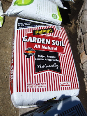 green out every window