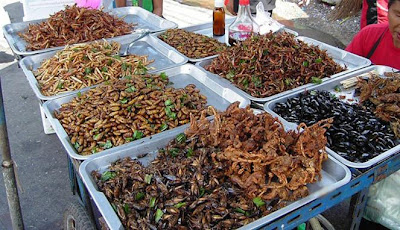 banyak menu serangga di jual di Bangok Thailand