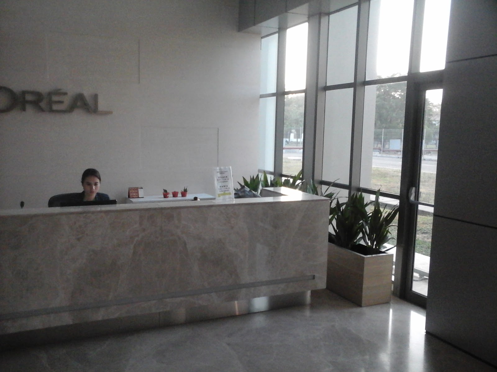 Tanaman didalam ruangan kantor tanaman didalam ruangan kantor