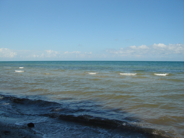 Tierra Dios Puerto Barrios Punta Palma