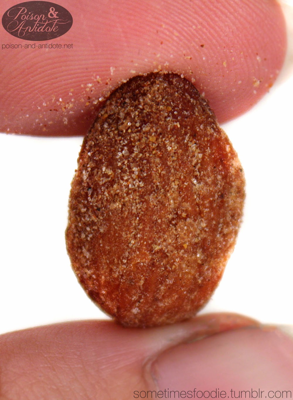 Sometimes Foodie Planters Pumpkin Spice Almonds Target Riverside, NJ