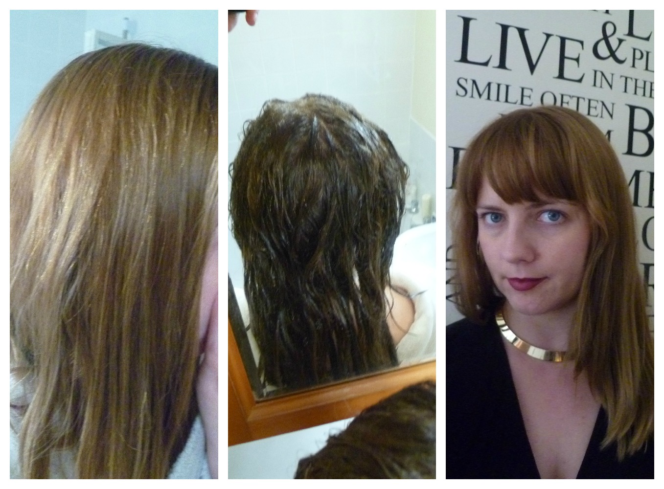Bumpkin, Broke and Reading Garnier Olia hair colour 6.0 Light Brown