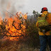 Estados Sofocan incendio forestal en el Parque Nacional La Malinche