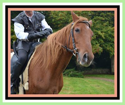 le voici encore le cheval