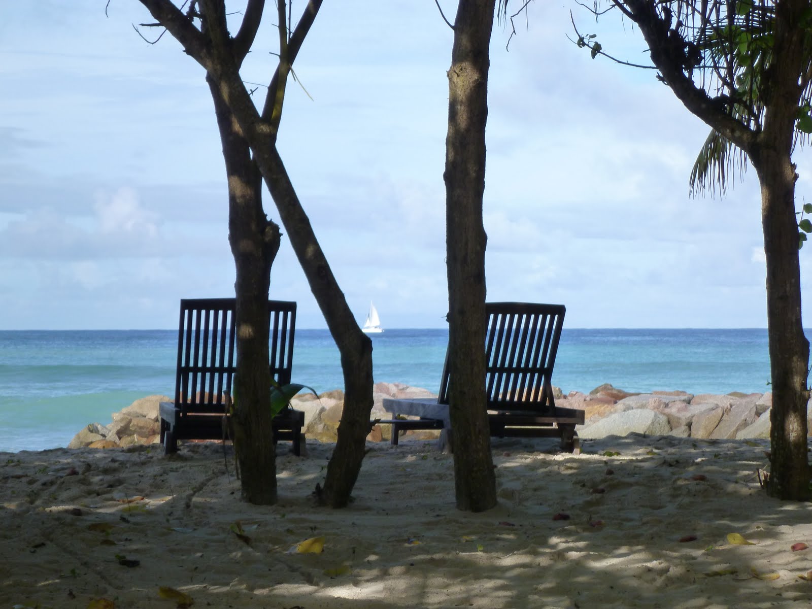 Jour 11 [Praslin] De Grand'Anse à Anse Volbert Plongée et farniente