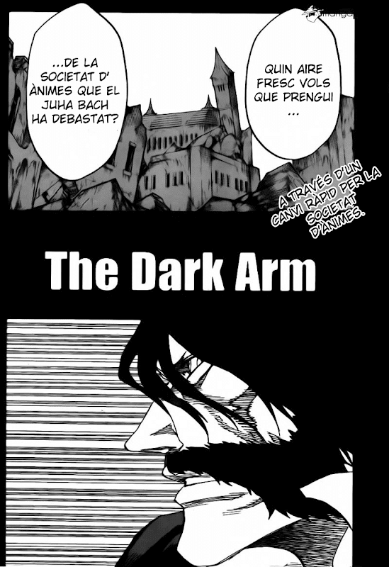 Seireitei no Fansub. Bleach 618 08