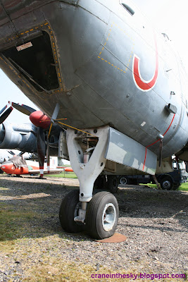 Avro Shackleton