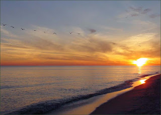 Gulf Shores Real Estate FSBO Gulf Shores Alabama, Phoenix Condo