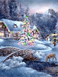 Cute Amazing Photos: Merry Christmas