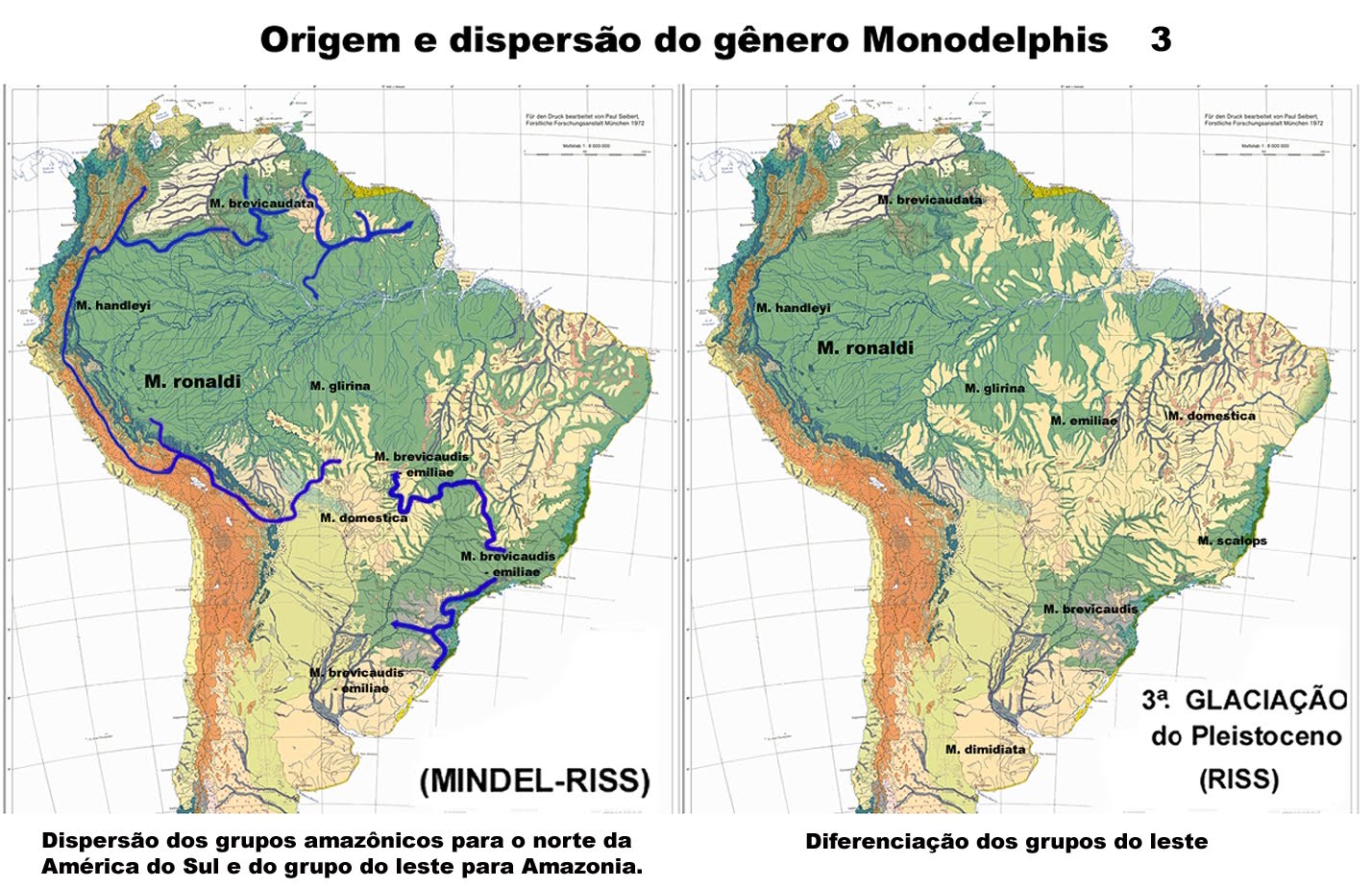 Origem e dispersão do gênero Monodelphis 3