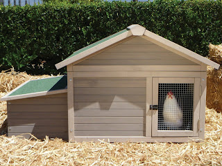 Steps To Build A Chicken Coop: How To Build Chicken Coops For Dummies