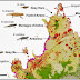 Los micro camaleones de Madagascar