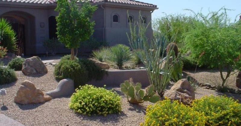 Do you Plan for desert landscaping? ~ Garden and landscaping ideas