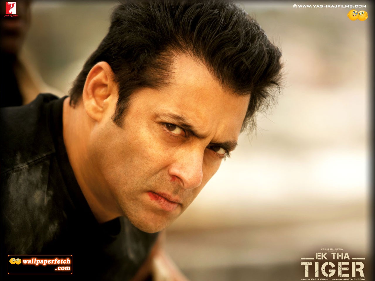 http://4.bp.blogspot.com/-x7PiCeoTwcs/UAw1wjsn06I/AAAAAAAAGzk/hnKa54F42iI/s1600/ek-tha-tiger-wallpaper-21-12x9.jpg