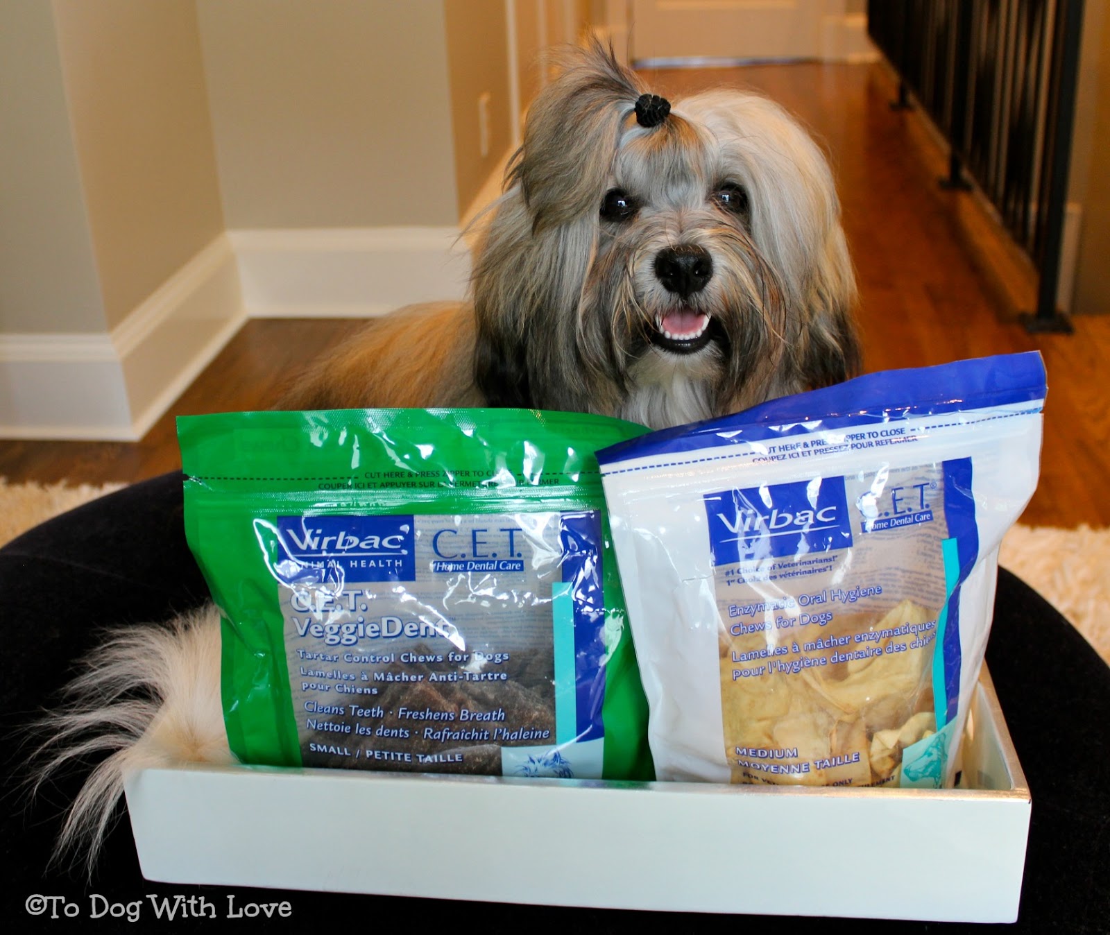puppy dental chews to with c e t dental chews review for entirelypets puppy dental chews to with c e t dental chews review for entirelypets